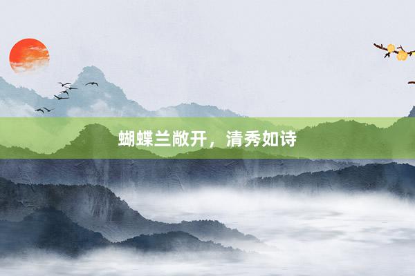 蝴蝶兰敞开，清秀如诗